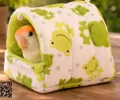 🦜 Agapornis papilleros / bebés disponibles 🐣 - 3