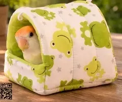 Agapornis papilleros - 2