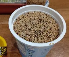Canario joven con su jaula y complementos - 3