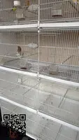 Vendo Jaulas de cría de aves BORMIO 120cm.