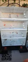 Vendo Jaulas de cría de aves BORMIO 120cm. - 2