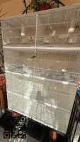 Vendo Jaulas de cría de aves BORMIO 120cm. - 3