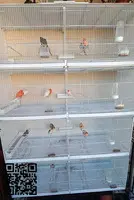 Vendo Jaulas de cría de aves BORMIO 120cm. - 4