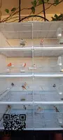 Vendo Jaulas de cría de aves BORMIO 120cm. - 5