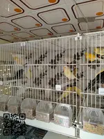 Cedo lote de timbrado