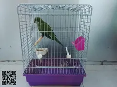 LORO CON JAULA