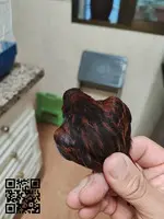 Canarios Bronce intensos y nevados