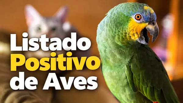 Listado Positivo de Aves 