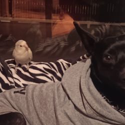 Ylenia Quirós Reina