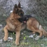 PACO JESUS RAMOS GARCIA