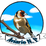 Aviario N.P