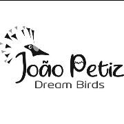 joao petiz